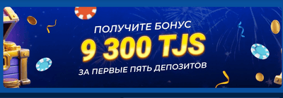 Бонусная программа